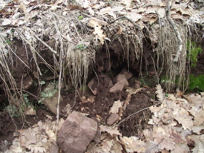 jk 098.JPG