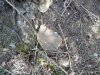 s bosnek krepost na vazv rida 5f43d6e13dc6c
