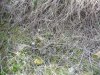 s bosnek krepost na vazv rida 5f43d6e144891