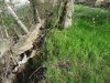 s bosnek krepost na vazv rida 5f43d6e15412d