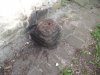 s bosnek krepost na vazv rida 5f43d6e16b854