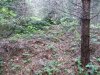 s dorkovo krepost kostingrad 5f43c4f81c573